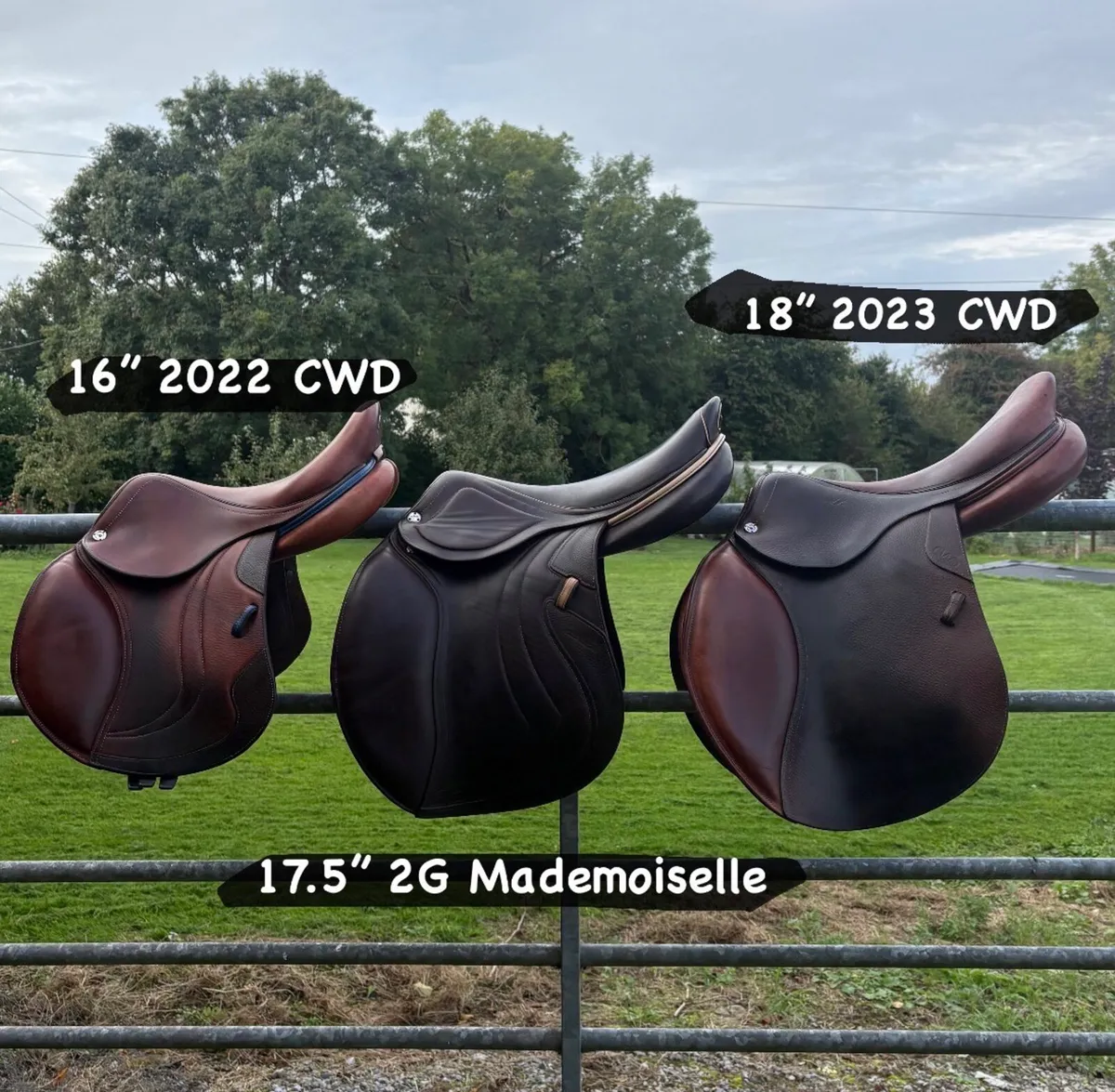 Jump saddles 16-18” CWD/Butet/Voltaire/Amerigo etc - Image 1