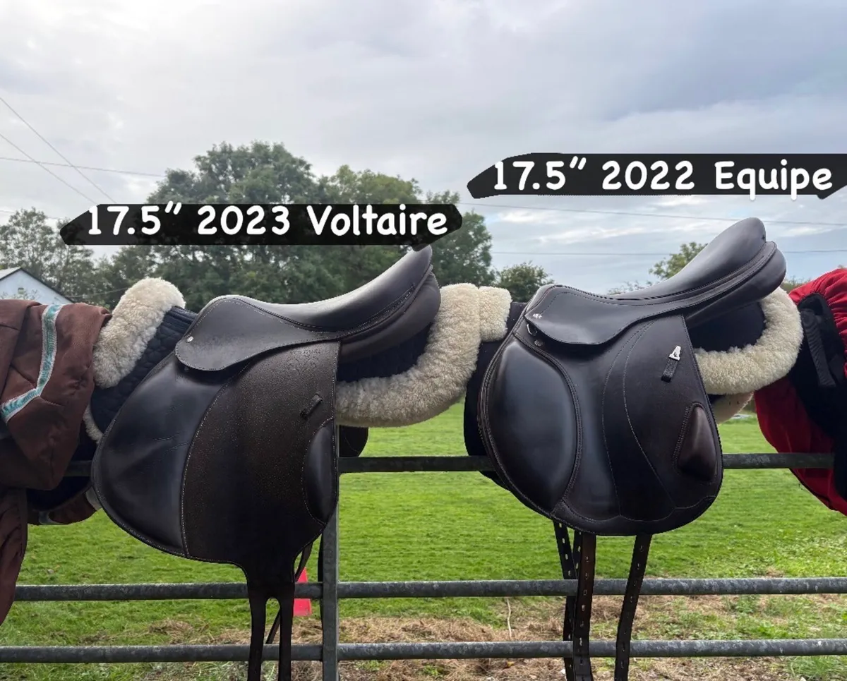 Jump saddles 16-18” CWD/Butet/Voltaire/Amerigo etc - Image 3