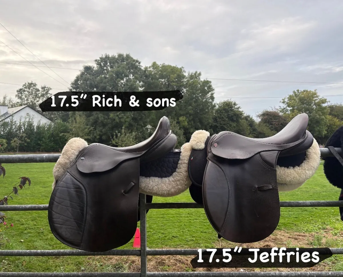 Jump saddles 16-18” CWD/Butet/Voltaire/Amerigo etc - Image 4