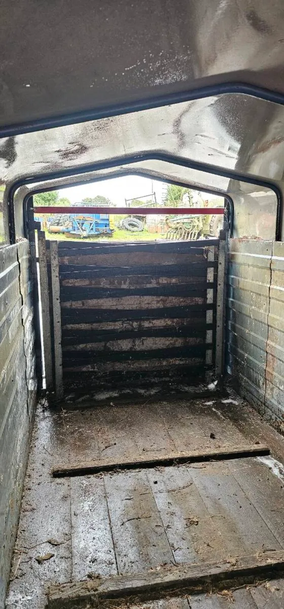 Cattle trailer - Image 4