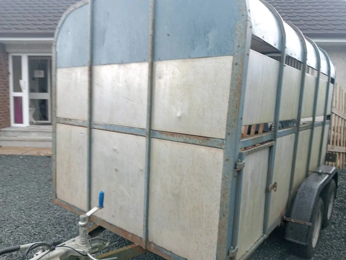 CATTLE TRAILER - Image 2