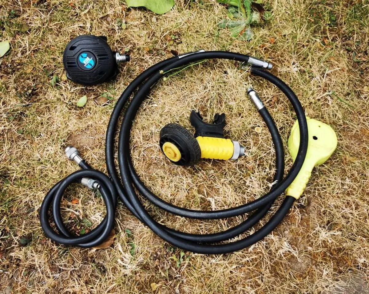 diving - Image 4
