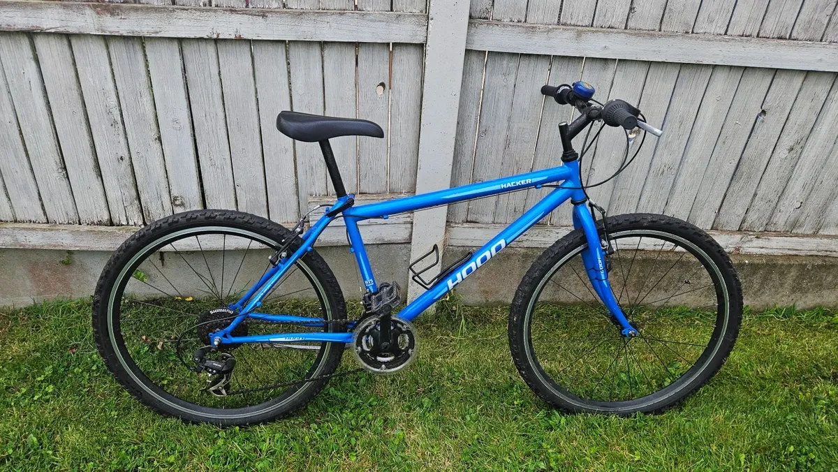 Young Teenagers Bike - Image 1