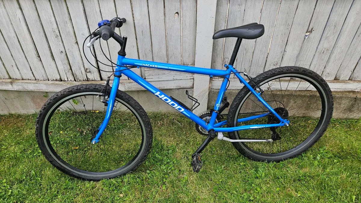 Young Teenagers Bike - Image 3