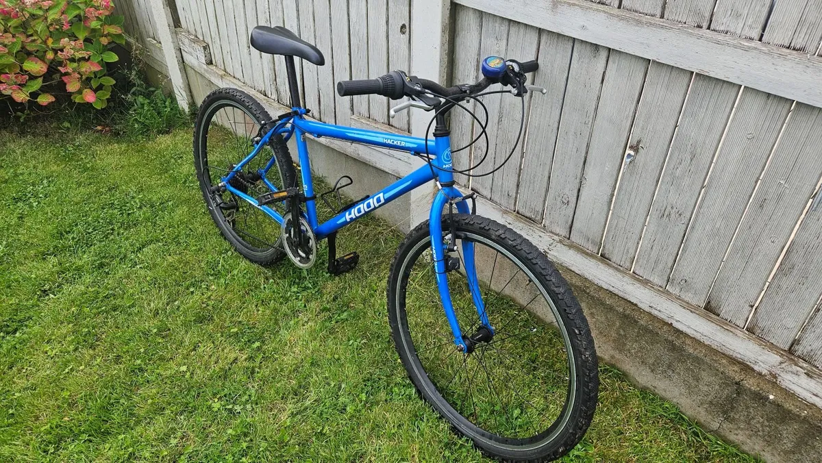 Young Teenagers Bike - Image 2