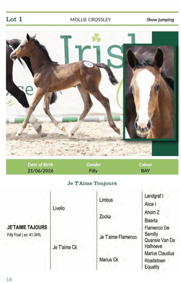 LOT 1 & LOT 67 Glenamaddy 26th sept - Image 1