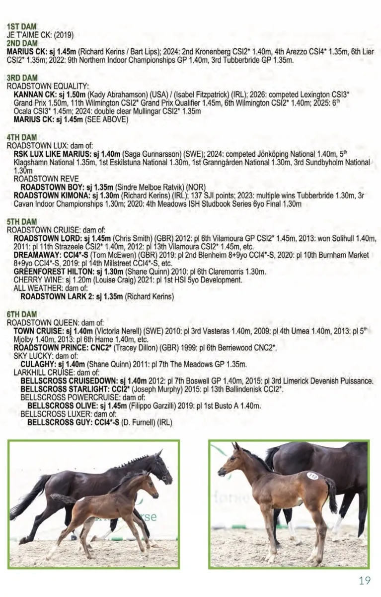 LOT 1 & LOT 67 Glenamaddy 26th sept - Image 2