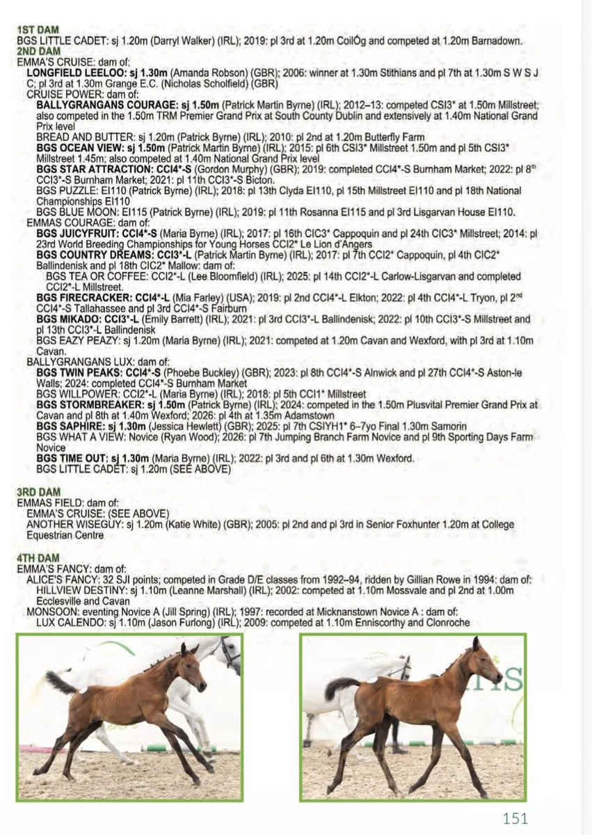 LOT 1 & LOT 67 Glenamaddy 26th sept - Image 4