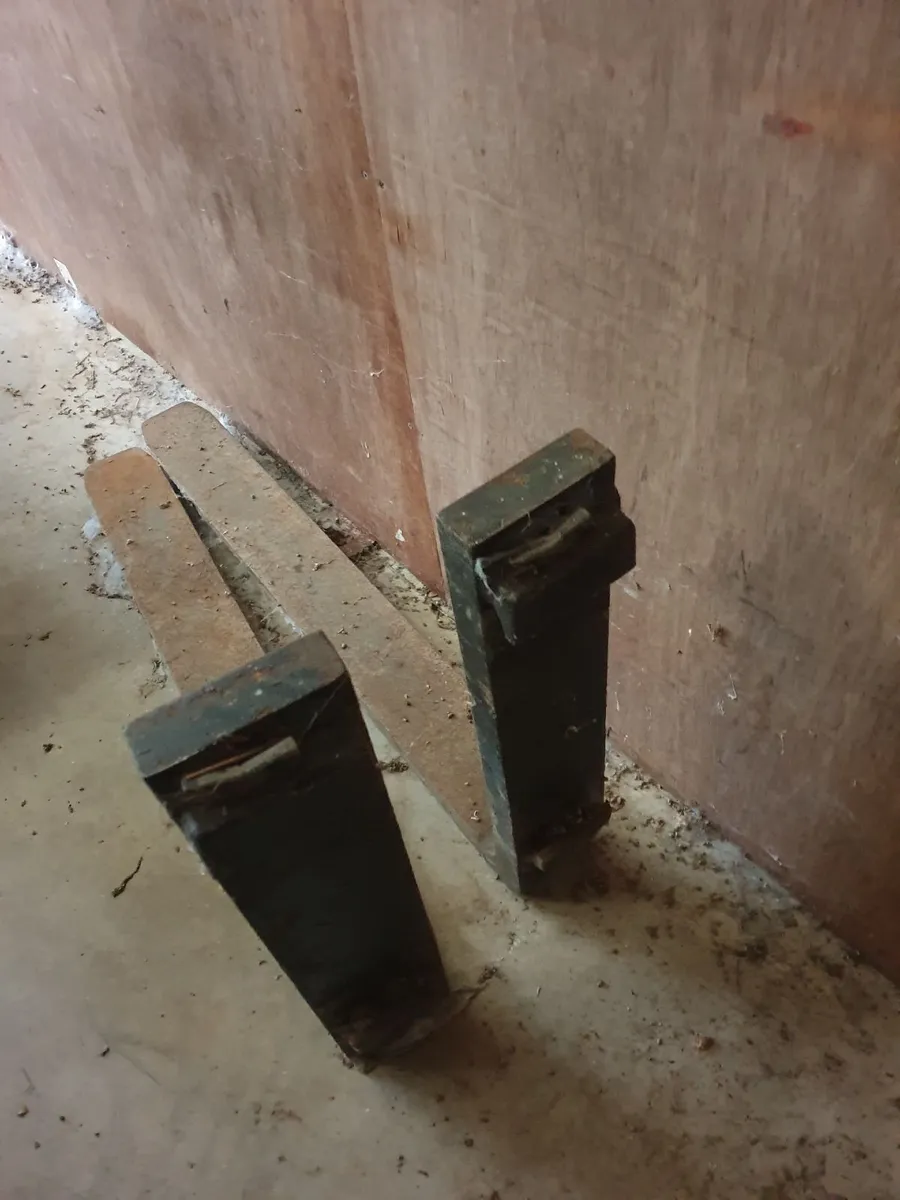 Forklift forks - Image 1