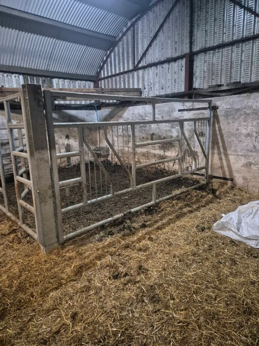 Clipex Cattle Crush - Image 4