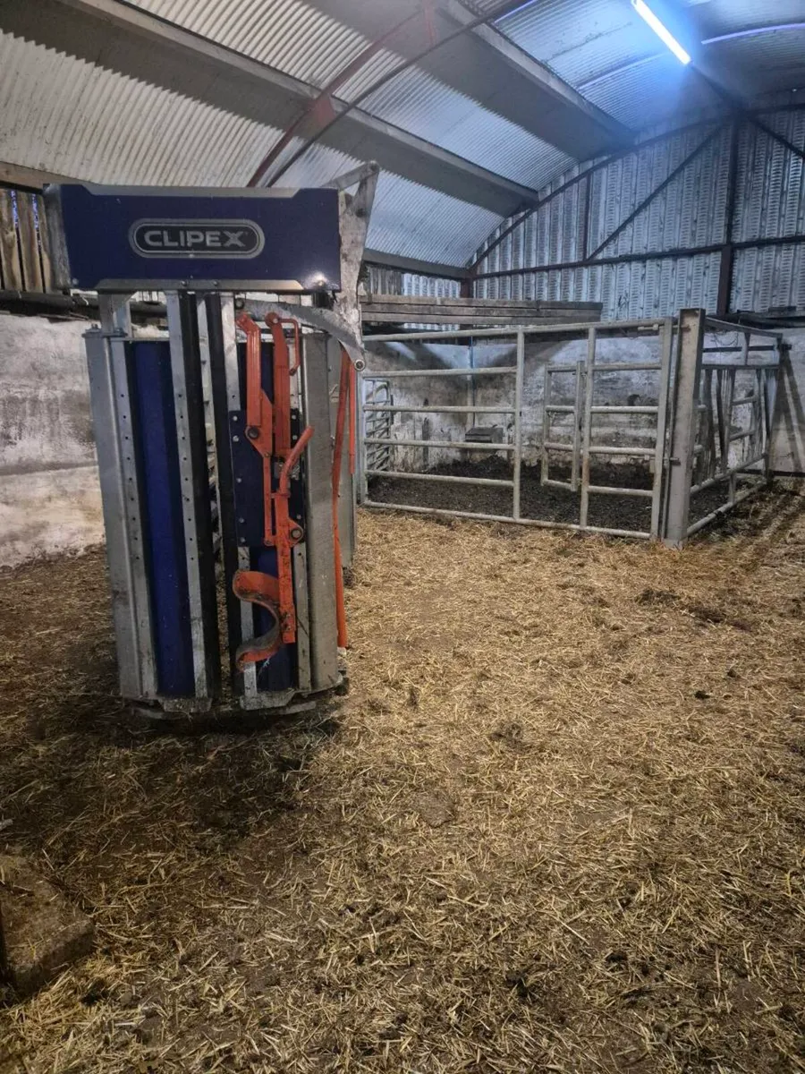 Clipex Cattle Crush - Image 2
