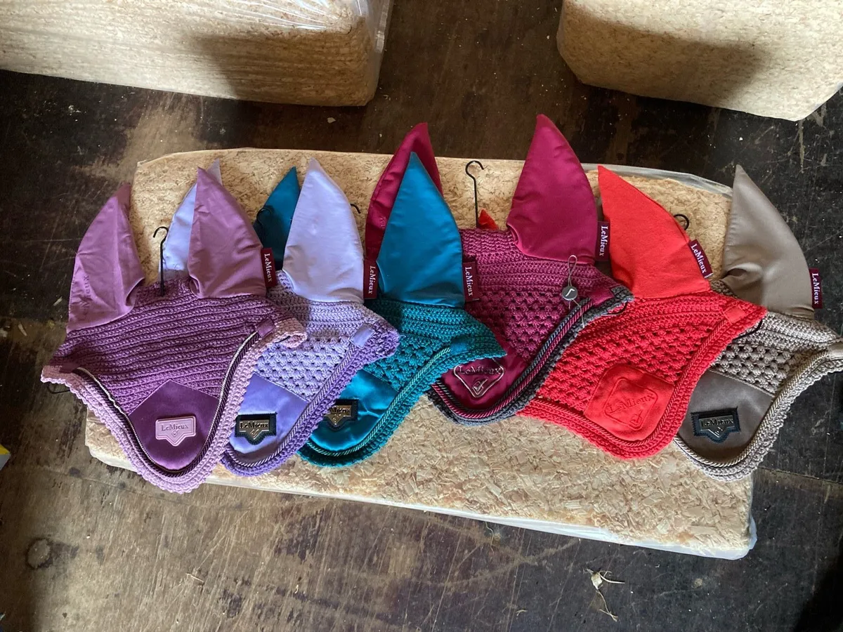 Lemieux ears - Image 1