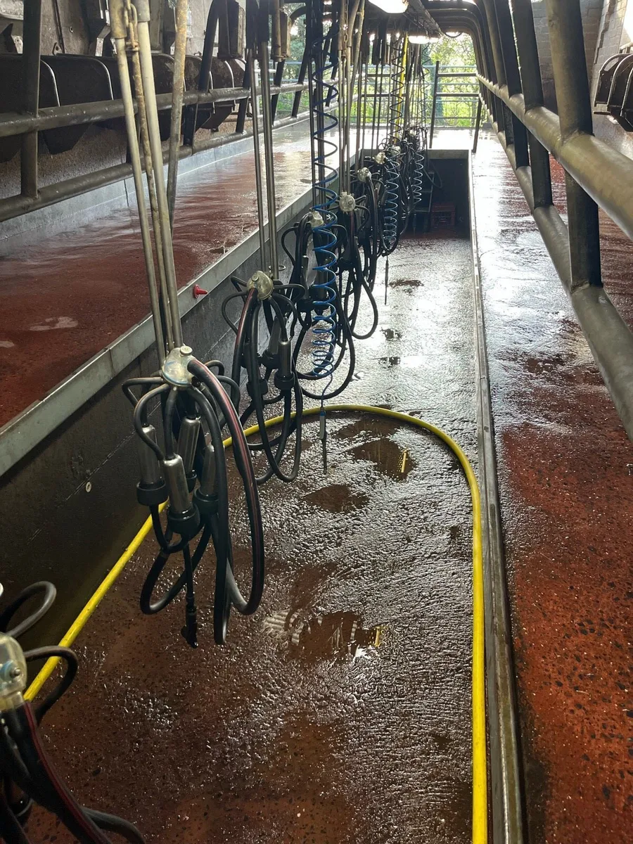 16 unit Milking palour - Image 4