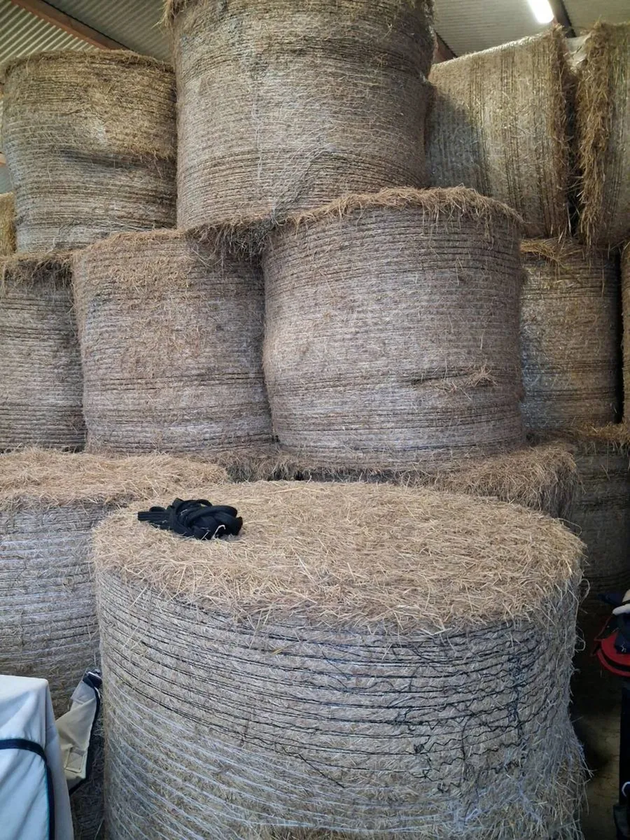 Round hay bales - Image 1