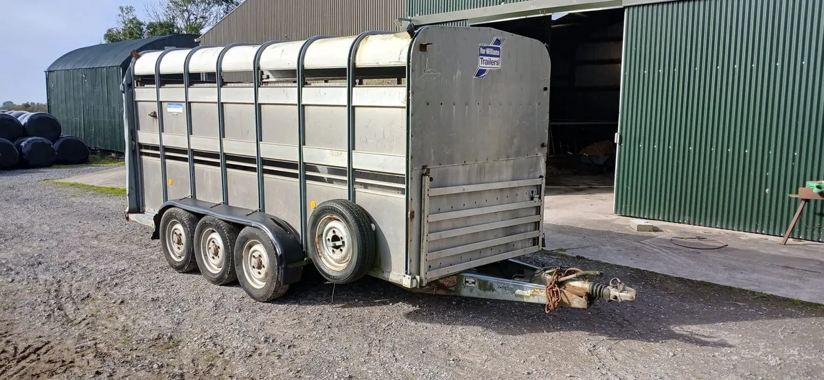 Cattle trailer - Image 2