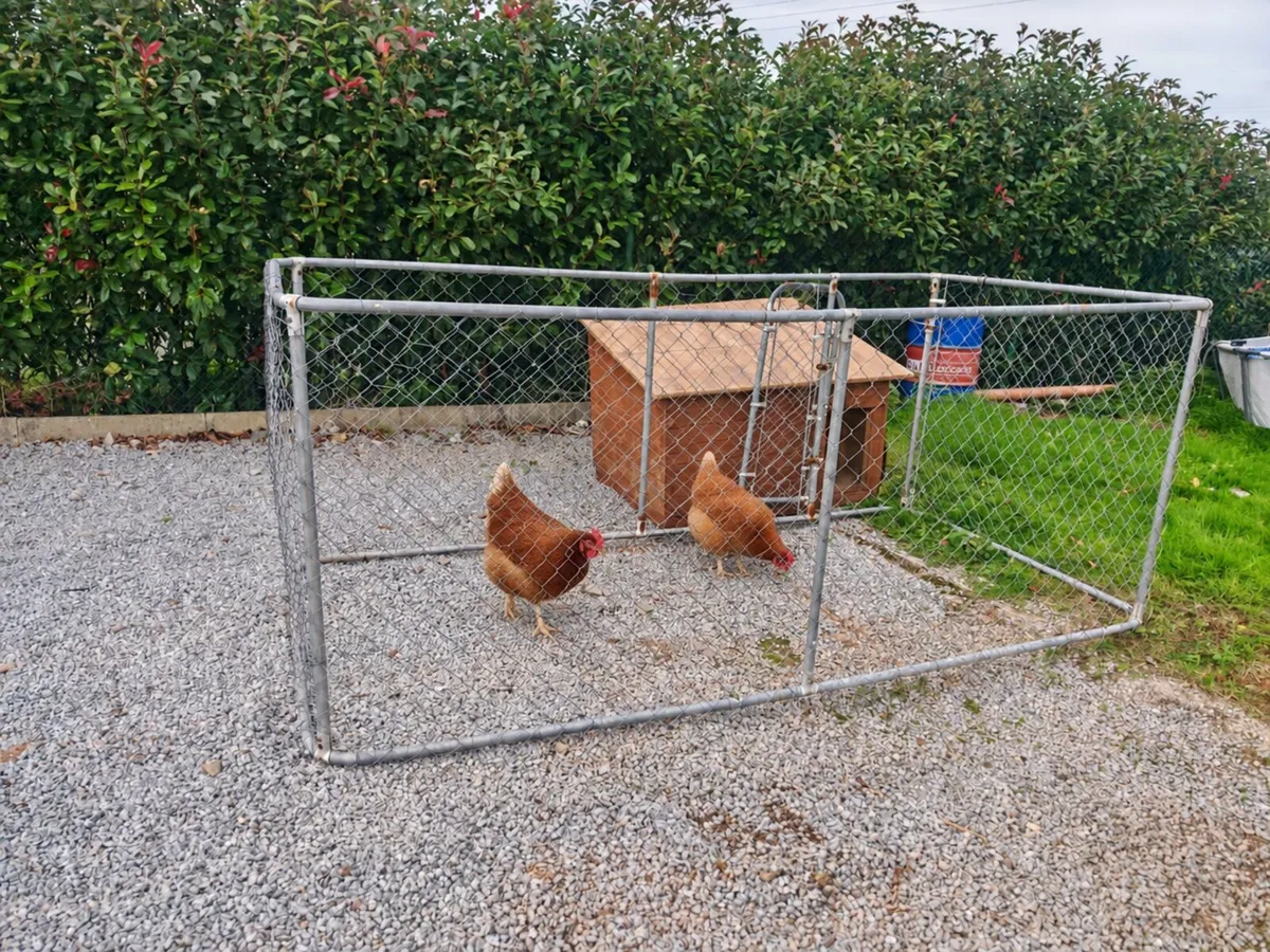 Dog Kennel with pen / Chicken coop - Image 2