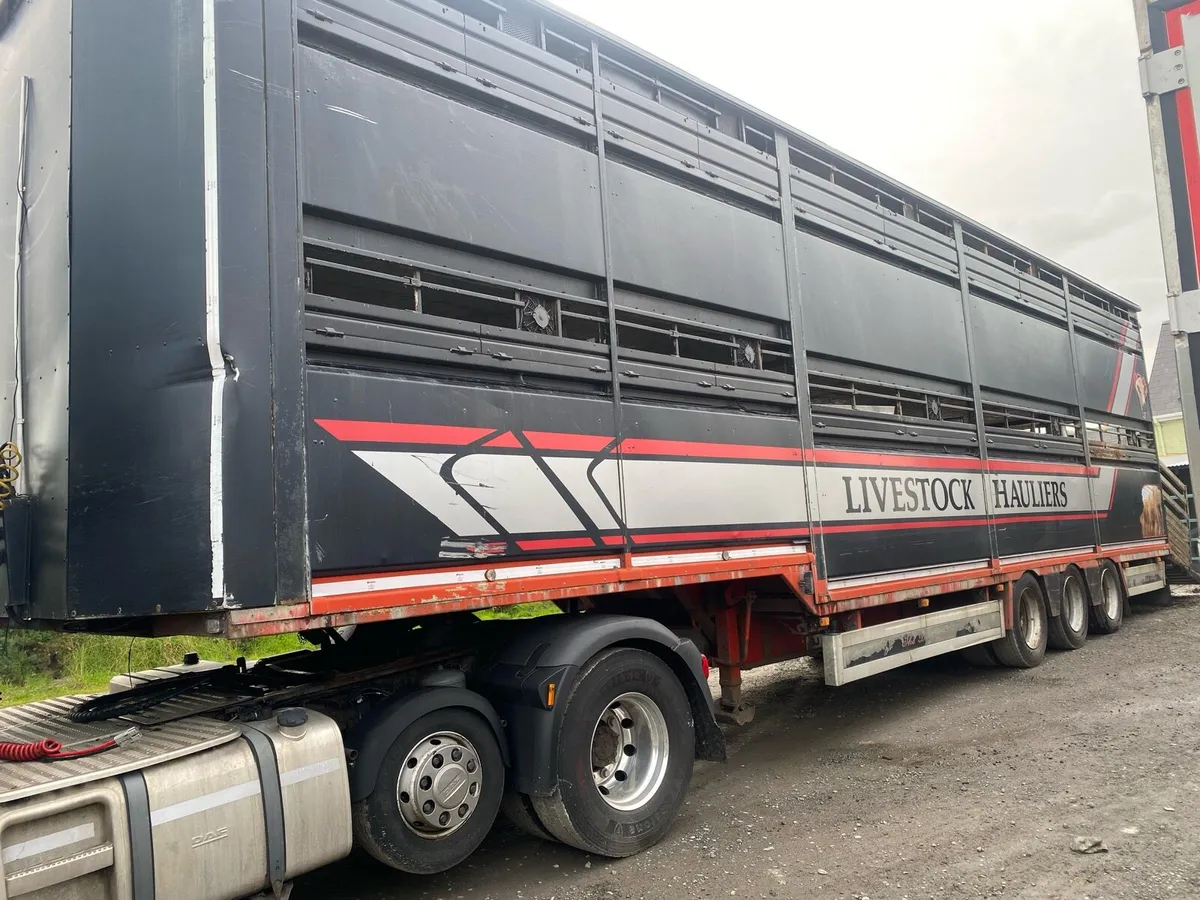 Cattle and sheep trailer - Image 2