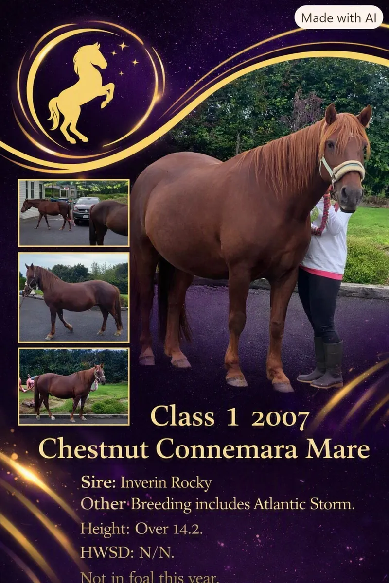 Class 1 Chestnut Connemara Mare - Image 3