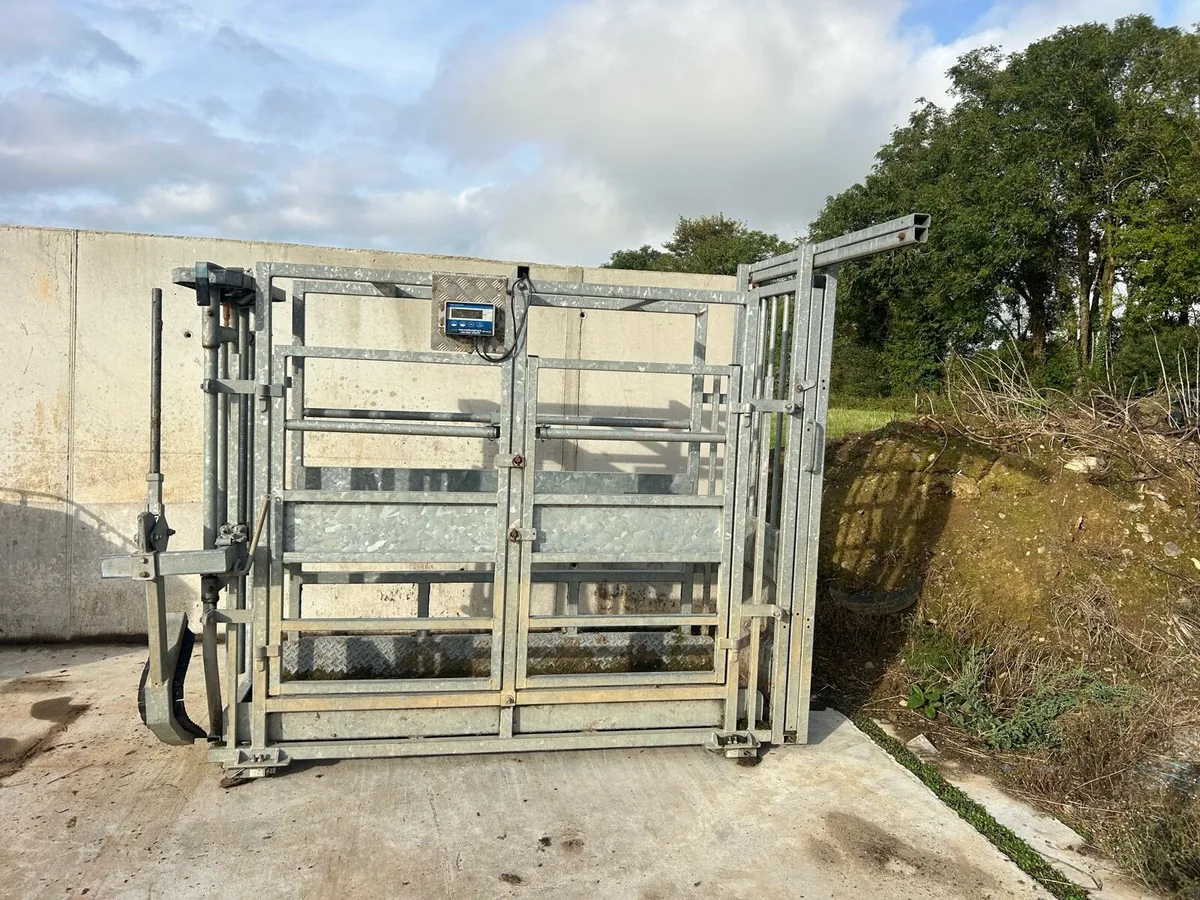 O’Neill’s Mobile weighing crate - Image 1