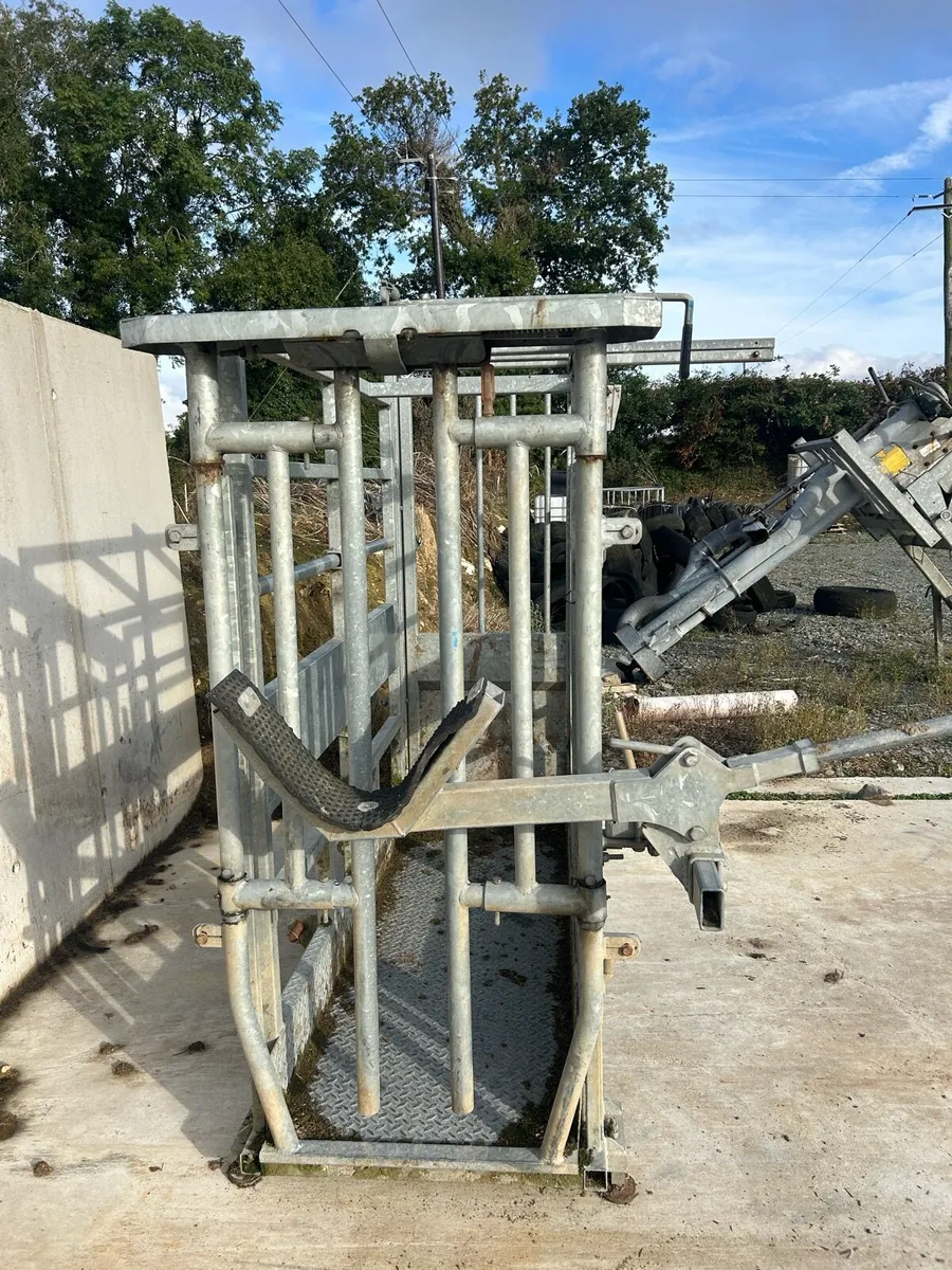 O’Neill’s Mobile weighing crate - Image 2
