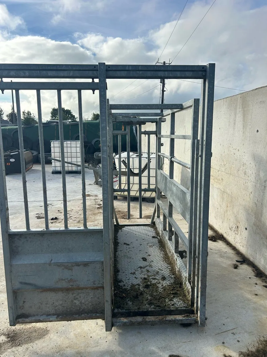 O’Neill’s Mobile weighing crate - Image 4
