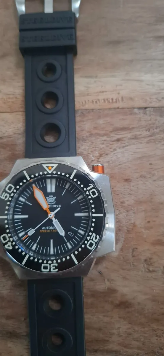 Steeldive Watch - Image 2