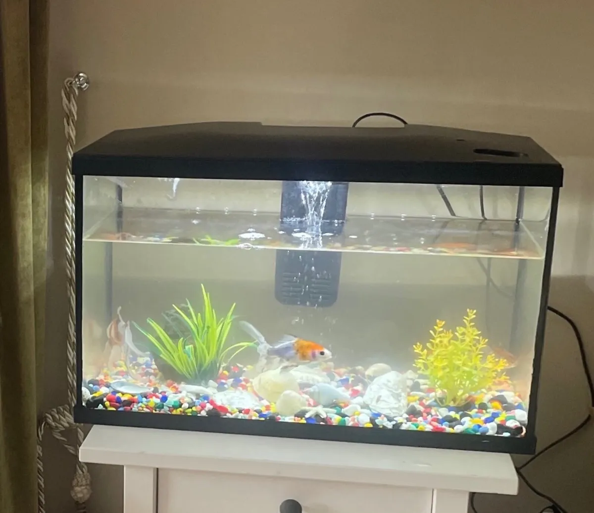 Fish Tank - Image 1