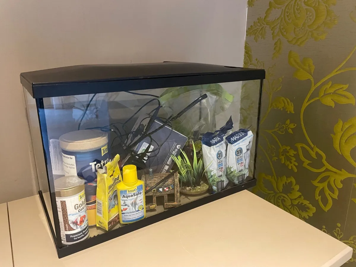 Fish Tank - Image 2