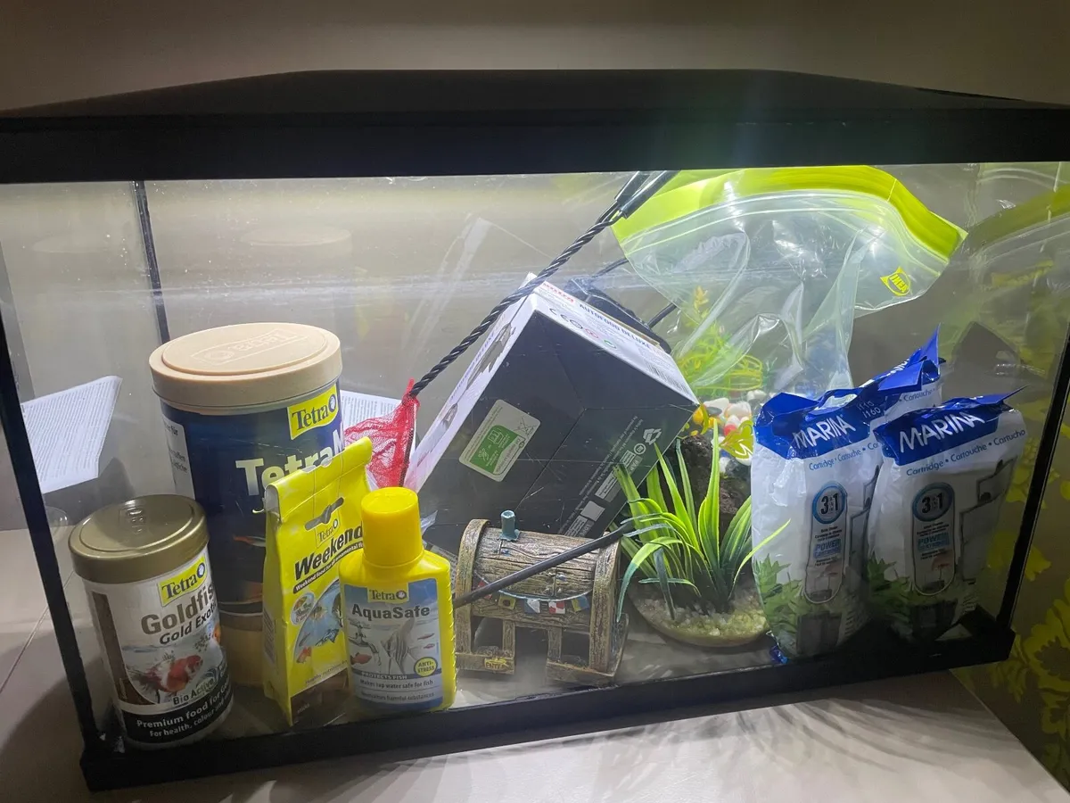 Fish Tank - Image 3