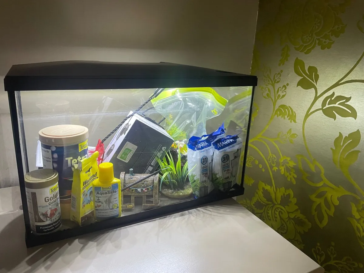 Fish Tank - Image 4