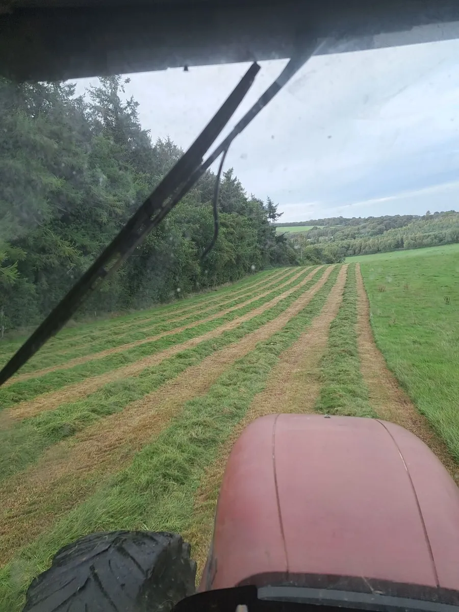 Silage 34acres mowed sunday evening - Image 1
