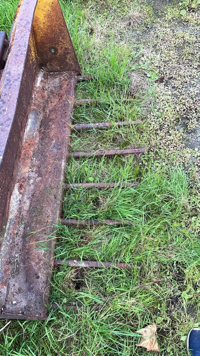 Dung fork - Image 4