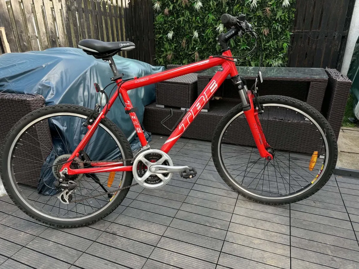 Mountain Bike Size Large - Image 1
