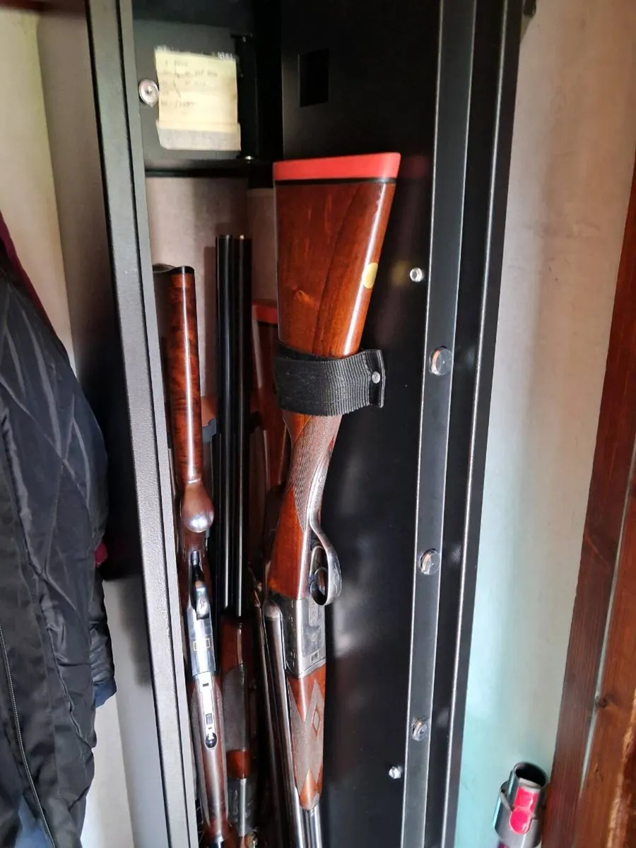 Gun Cabinet - Image 1