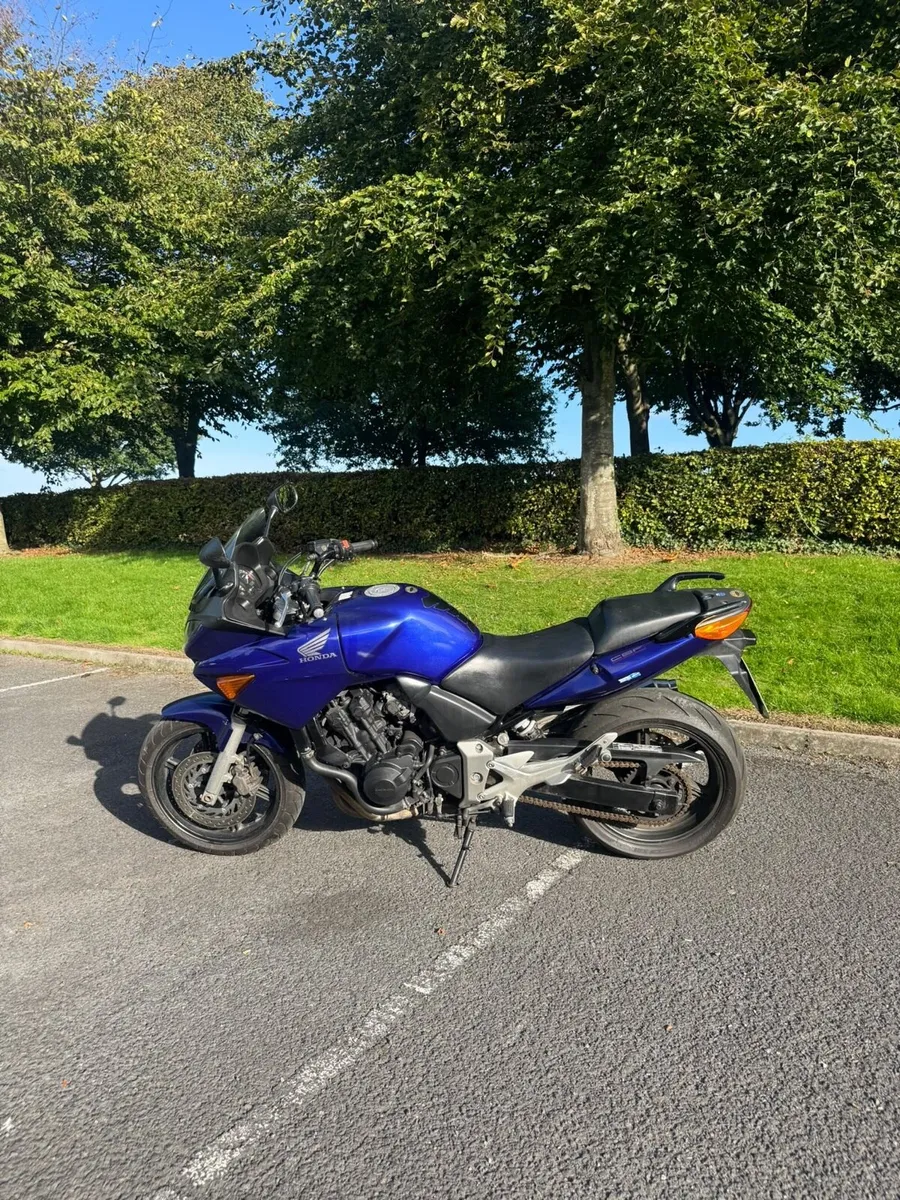 Honda Cbf 600 2004 low miles - Image 2