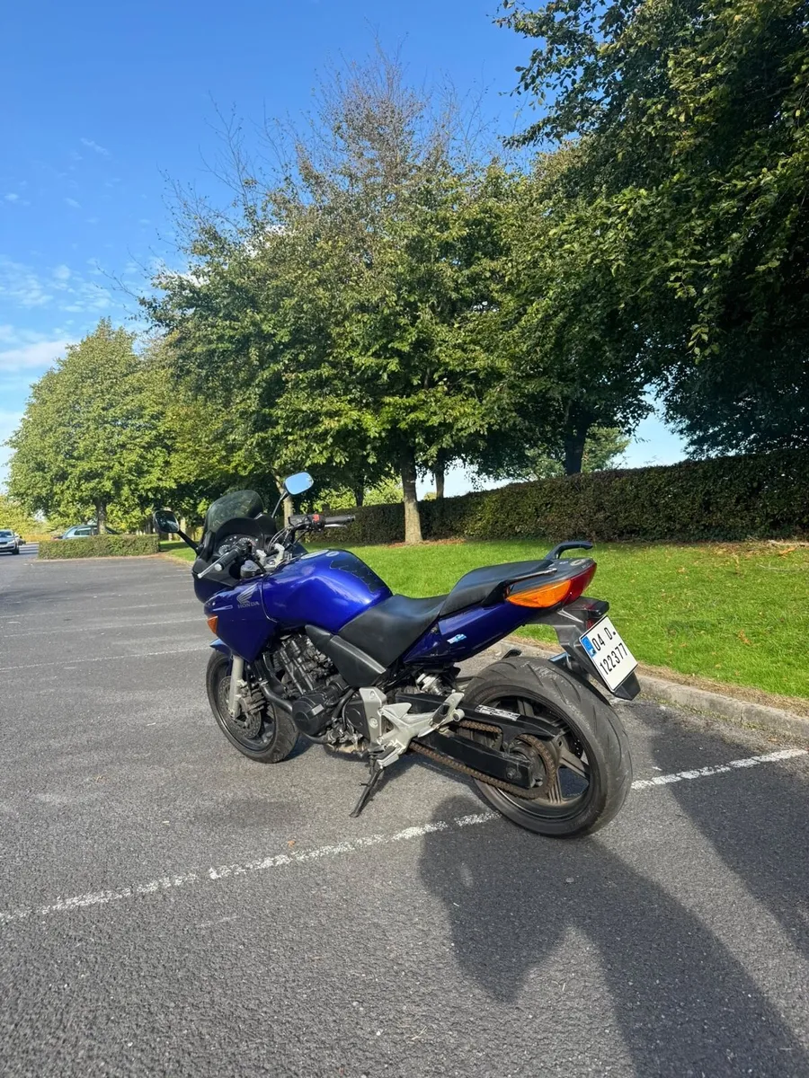 Honda Cbf 600 2004 low miles - Image 3