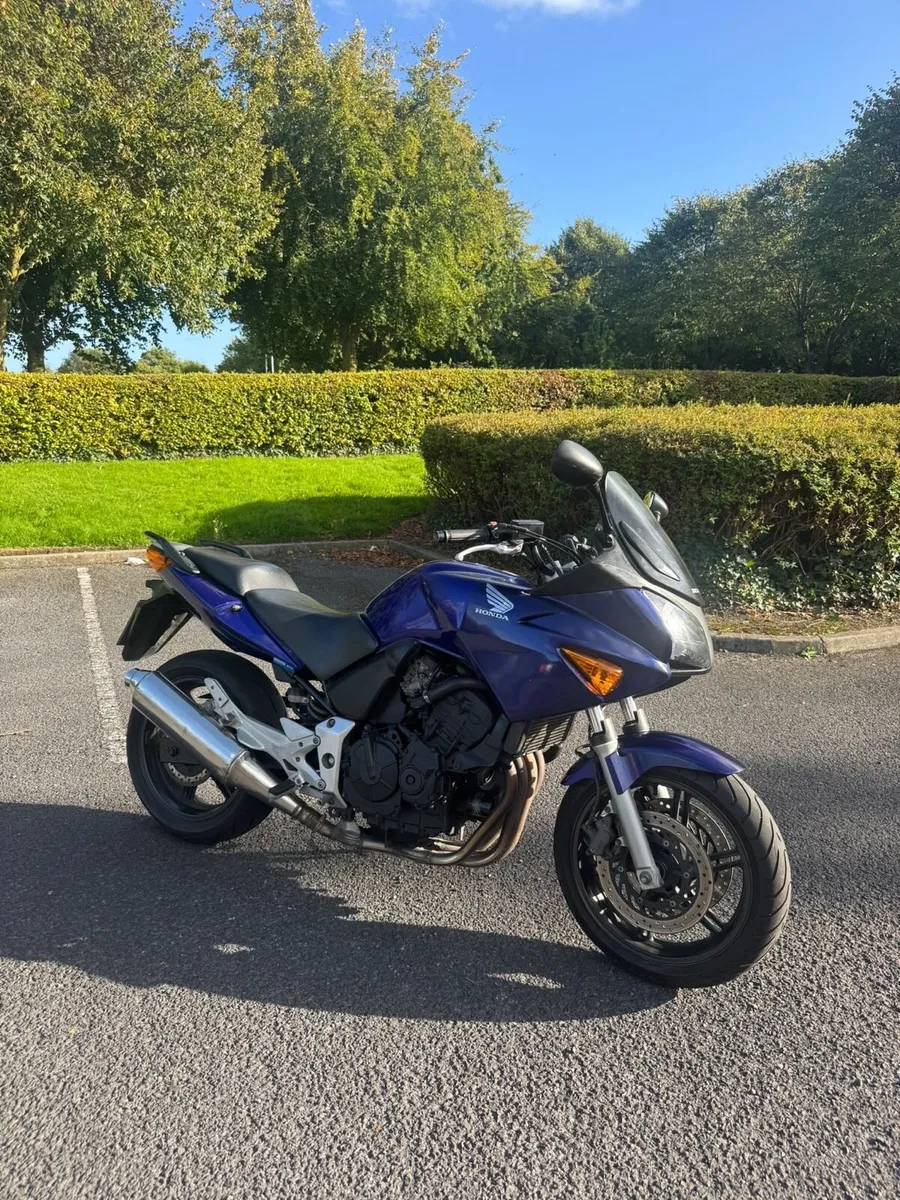 Honda Cbf 600 2004 low miles - Image 4