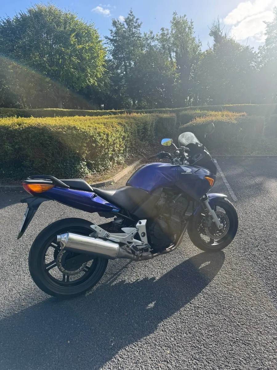 Honda Cbf 600 2004 low miles - Image 4