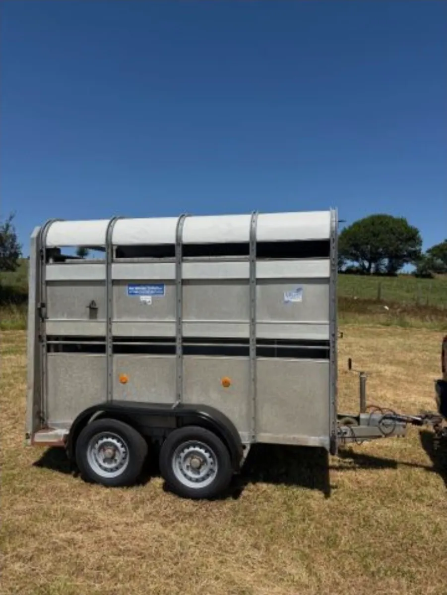 Ifor williams 8×5 Trailer

Led lights - Image 2