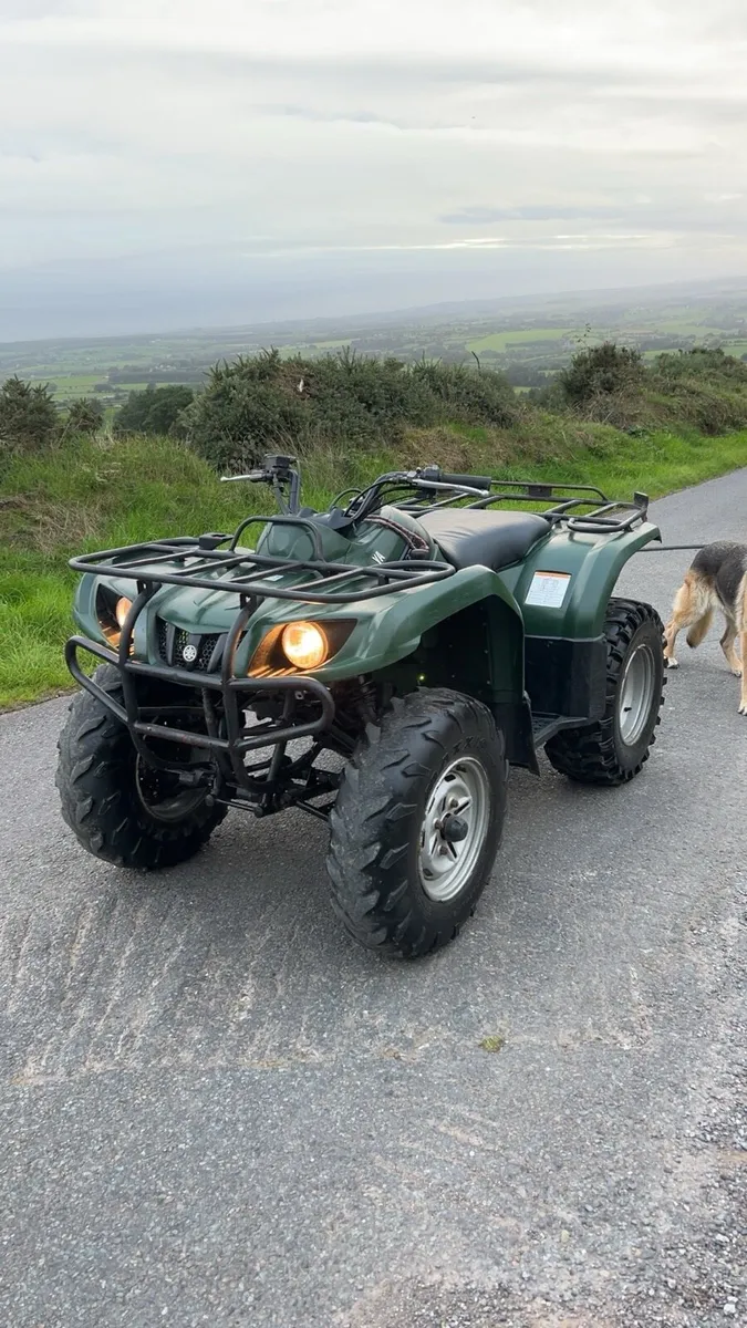 Yamaha grizzly 350 - Image 1