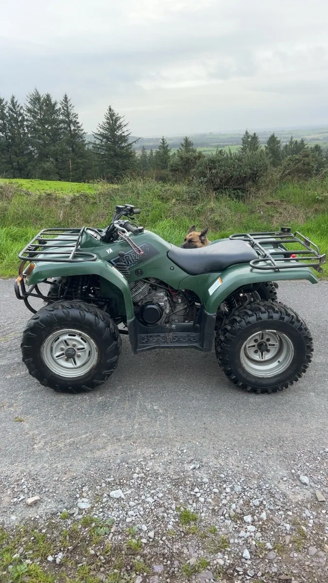 Yamaha grizzly 350 - Image 2