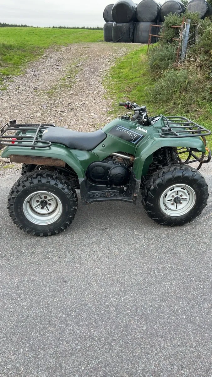 Yamaha grizzly 350 - Image 3