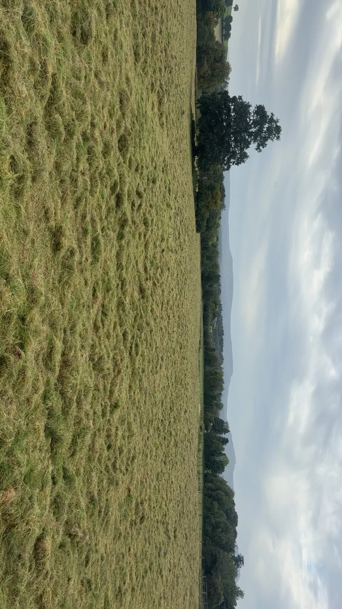 Silage