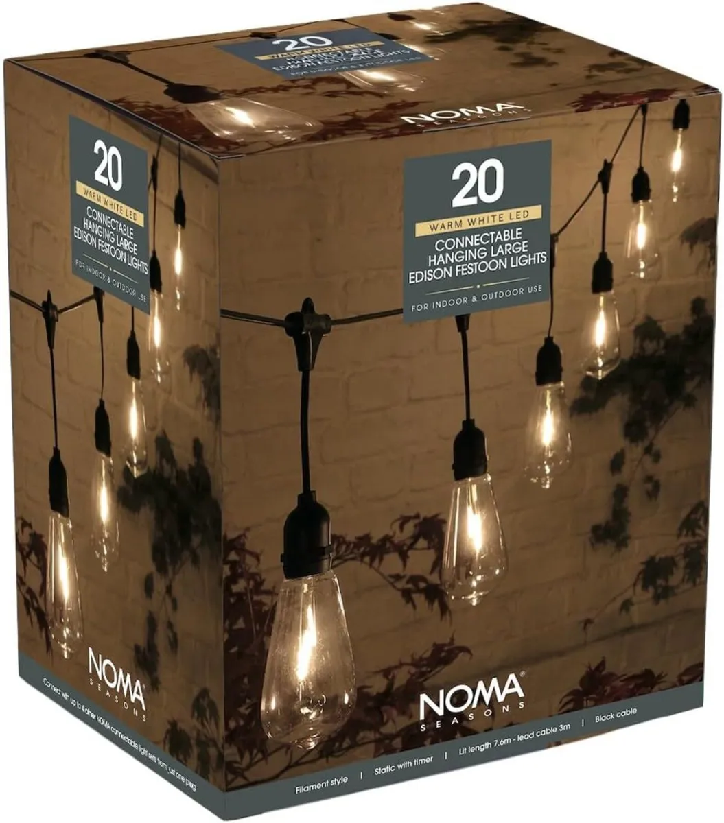 Hanging Connectable Festoon Lights 20 LED Bulbs - Image 1