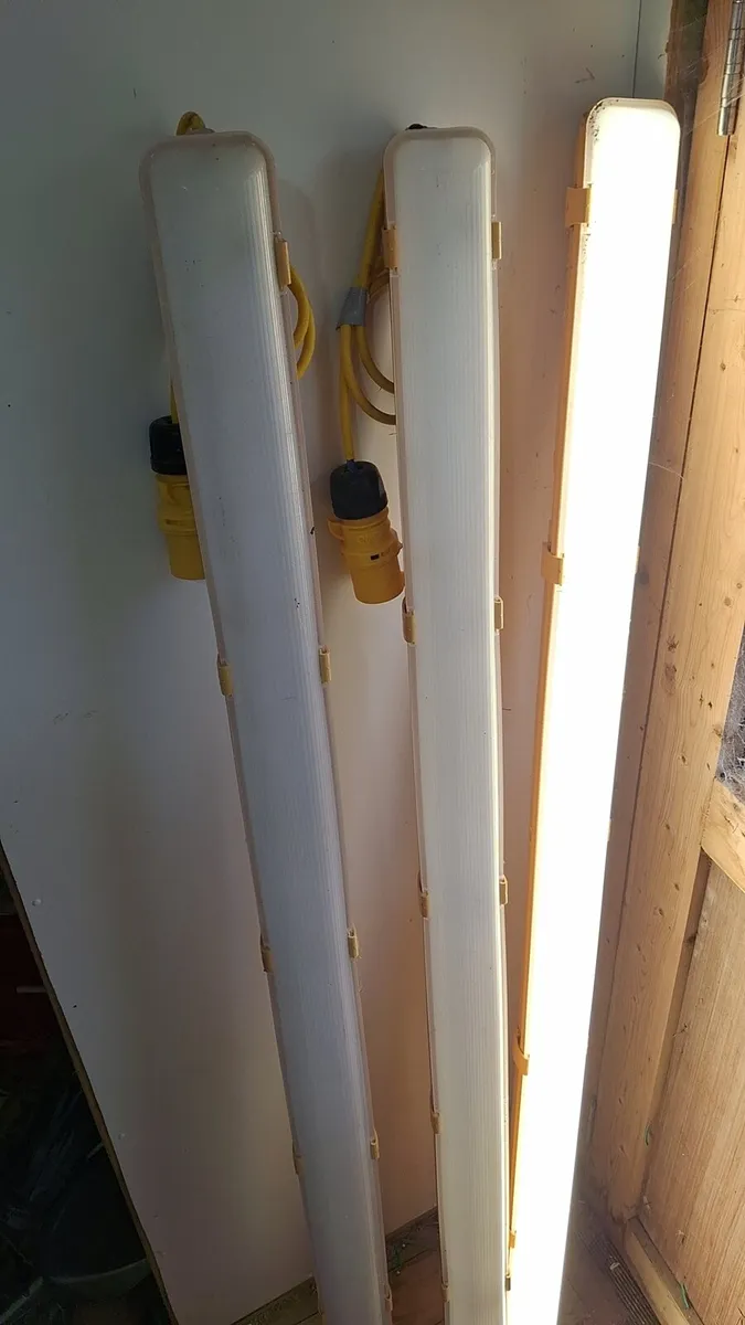 Batten Lights (5ft)
