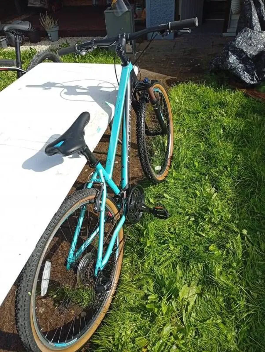 Bicycles - Image 3