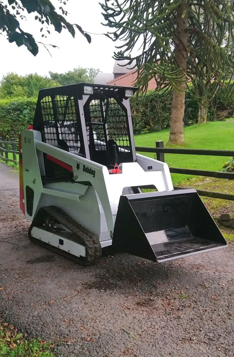 NEW CAPTOK BD SKID STEER - Image 1