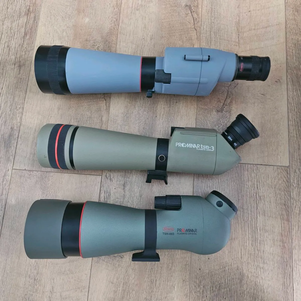 Binoculars and spotting scopes. Birding stalking - Image 4