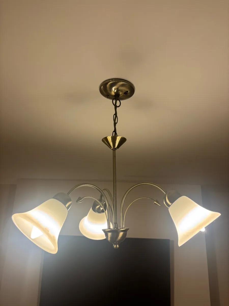 2 ceiling lights - Image 1