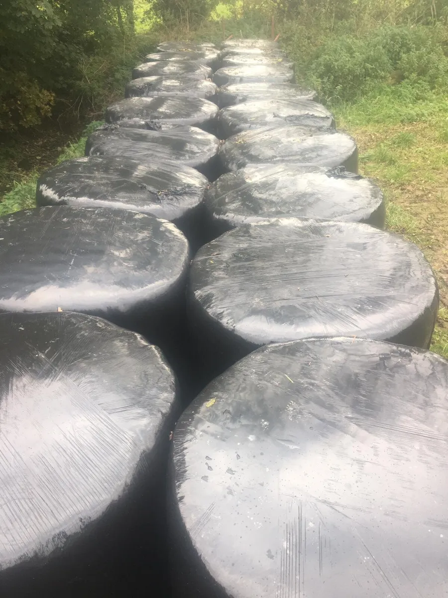 Silage --  located just off n4 longford - Image 2